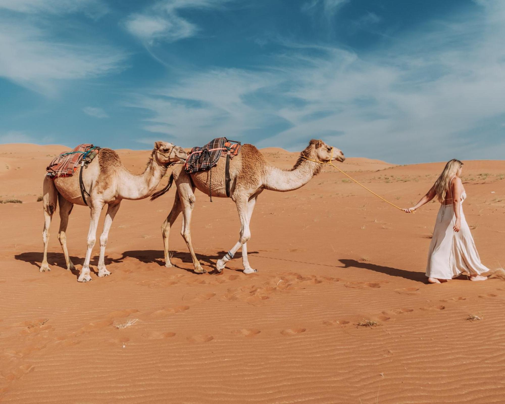 Sama Al Wasil Desert Camp Shāhiq Dış mekan fotoğraf